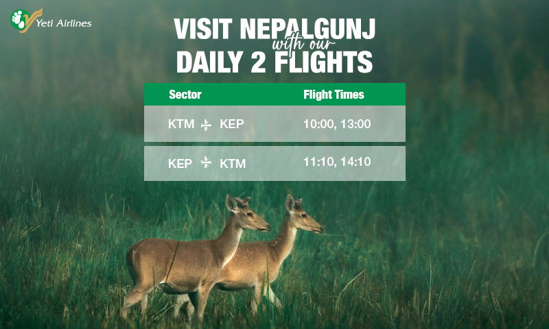 Yeti Airlines Deals